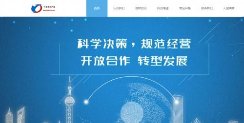 中國(guó)理財(cái)產(chǎn)品 信息化時(shí)代下的電商平臺(tái)