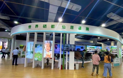 建南多款產品閃耀硒博會，舞今信息引領科技新風尚