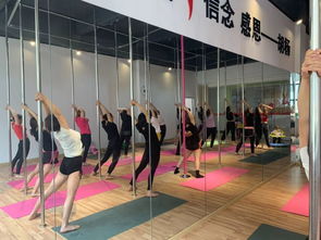 勁爆好消息！胡楊舞蹈周年特惠，僅198元體驗(yàn)舞蹈魅力！